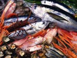 Cách chọn mua hải sản tôm, mực, sò tươi ngon